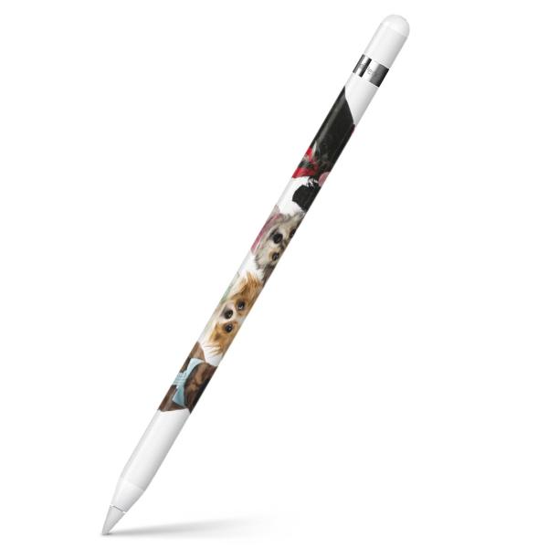Apple Pencil pXLV[ AbvyV iPad Pro ApplePen Jo[ tB XebJ[ ی  @@ʐ^ 009810