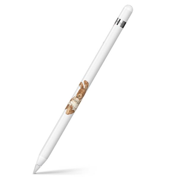 Apple Pencil pXLV[ AbvyV iPad Pro ApplePen Jo[ tB XebJ[ ی  @F@ 010194