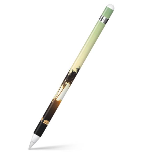 Apple Pencil pXLV[ AbvyV iPad Pro ApplePen Jo[ tB XebJ[ ی  i@[@ʐ^ 010212