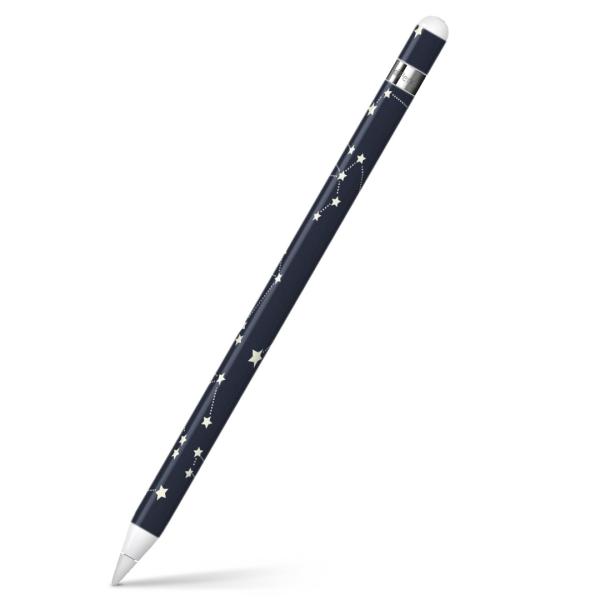 Apple Pencil pXLV[ AbvyV iPad Pro ApplePen Jo[ tB XebJ[ ی  @@ 010220