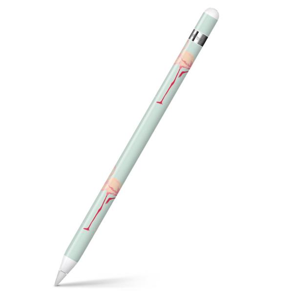 Apple Pencil pXLV[ AbvyV iPad Pro ApplePen Jo[ tB XebJ[ ی  t~S@H@sN 010947