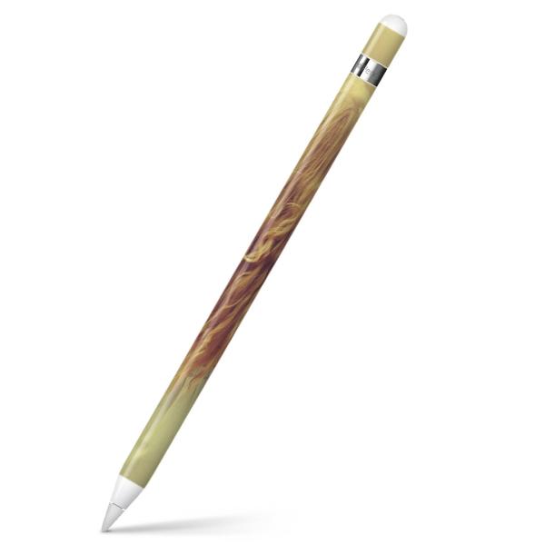 Apple Pencil pXLV[ AbvyV iPad Pro ApplePen Jo[ tB XebJ[ ی  @@ZNV[ 011489