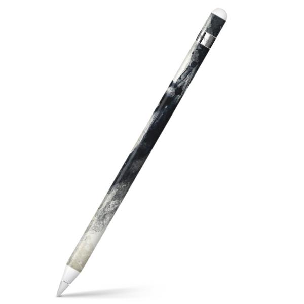 Apple Pencil pXLV[ AbvyV iPad Pro ApplePen Jo[ tB XebJ[ ی  @@ZNV[ 011500