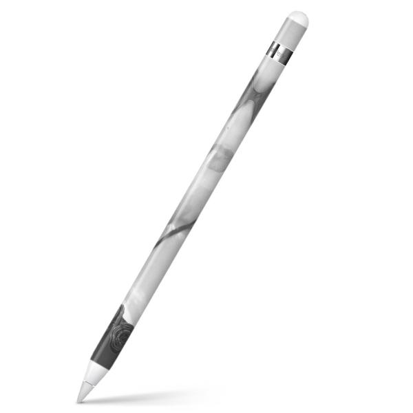 Apple Pencil pXLV[ AbvyV iPad Pro ApplePen Jo[ tB XebJ[ ی  @@ZNV[ 011547