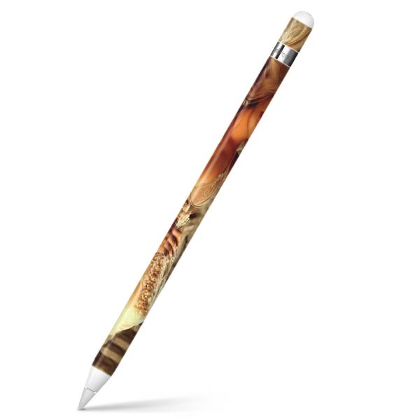 Apple Pencil pXLV[ AbvyV iPad Pro ApplePen Jo[ tB XebJ[ ی  @@ZNV[ 011562