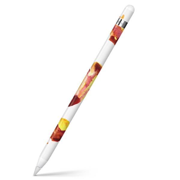Apple Pencil pXLV[ AbvyV iPad Pro ApplePen Jo[ tB XebJ[ ی  y@y@~[WbN 014108