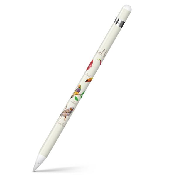 Apple Pencil pXLV[ AbvyV iPad Pro ApplePen Jo[ tB XebJ[ ی  @Aj}@t~S 014304