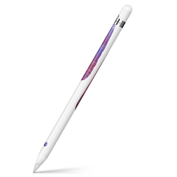 Apple Pencil pXLV[ AbvyV iPad Pro ApplePen Jo[ tB XebJ[ ی  ACX@XC[c@ 014586