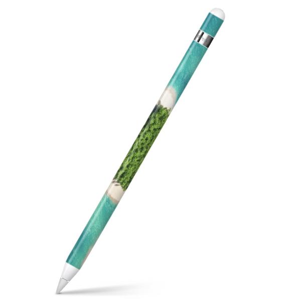 Apple Pencil pXLV[ AbvyV iPad Pro ApplePen Jo[ tB XebJ[ ی  ʐ^@n[g@C 014659