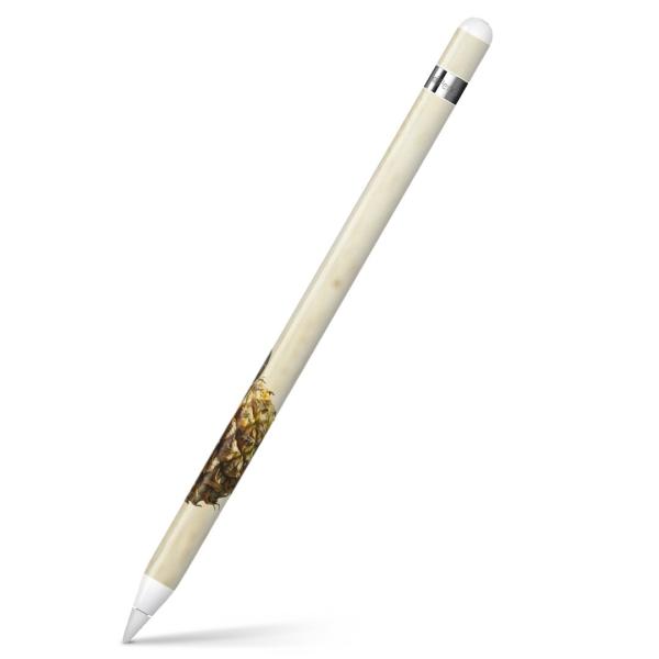 Apple Pencil pXLV[ AbvyV iPad Pro ApplePen Jo[ tB XebJ[ ی  ā@C@pCibv@l 014841