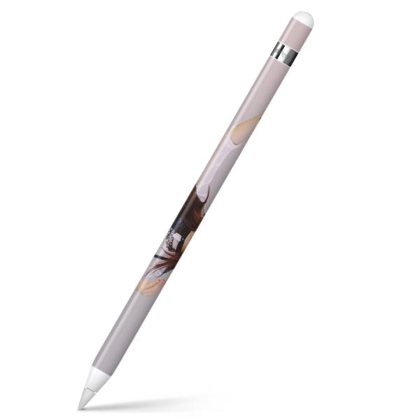 Apple Pencil ��p�X�L���V�[�� �A�b�v���y���V�� iPad Pro ApplePen �J�o�[ �t�B���� �X�e�b�J�[ �ی�  ���̎q�@�������@�Z���t�B�[ 014926