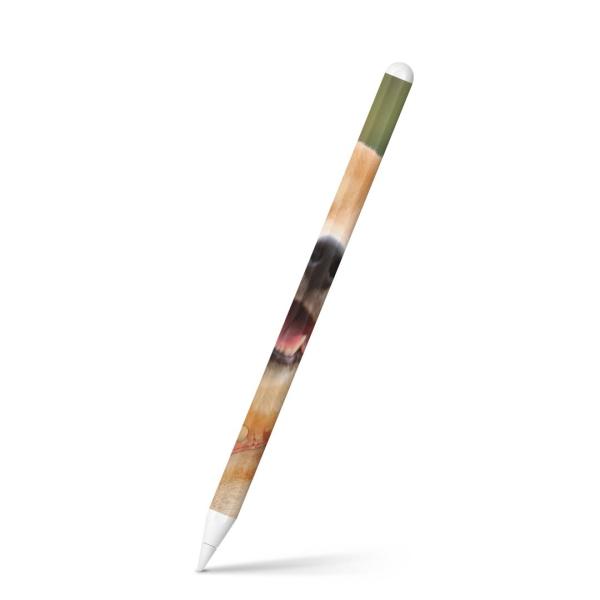 Apple Pencil 2 pXLV[ Abv AbvyV iPad Pro ApplePen tB XebJ[  @Č 000926