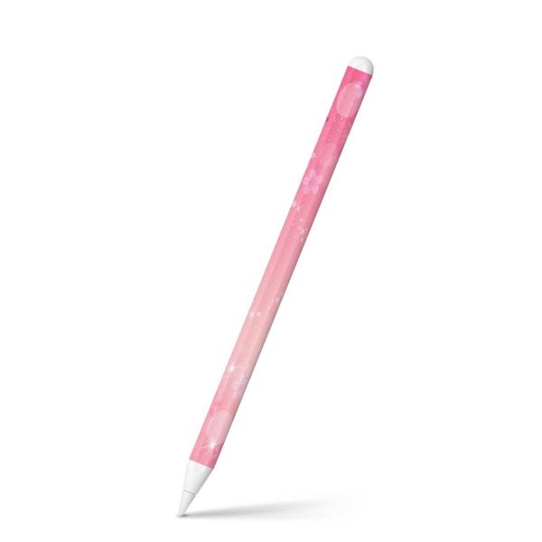 Apple Pencil 2 pXLV[ Abv AbvyV iPad Pro ApplePen tB XebJ[  @ 001625