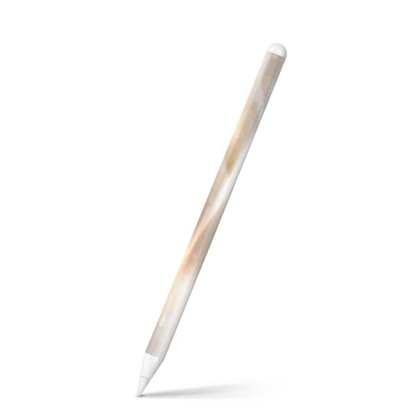 Apple Pencil 2 pXLV[ Abv AbvyV iPad Pro ApplePen tB XebJ[  Vv@ 001956
