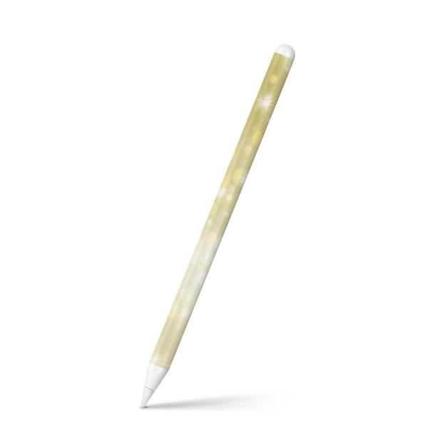 Apple Pencil 2 pXLV[ Abv AbvyV iPad Pro ApplePen tB XebJ[  LL@S[h 002166