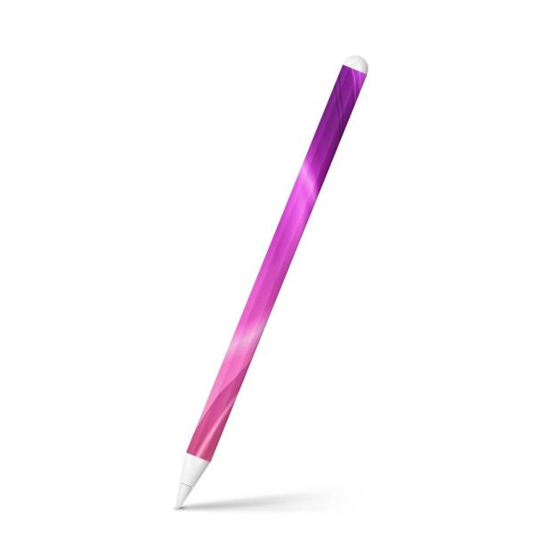 Apple Pencil 2 pXLV[ Abv AbvyV iPad Pro ApplePen tB XebJ[  Vv@sN 002202