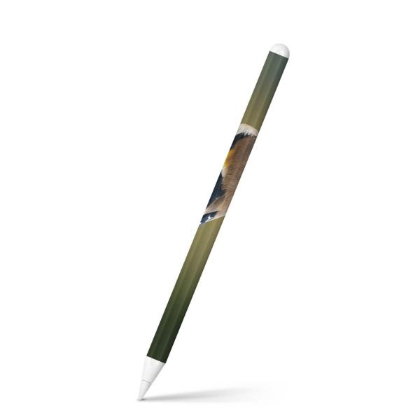 Apple Pencil 2 pXLV[ Abv AbvyV iPad Pro ApplePen tB XebJ[  @@ʐ^ 002605