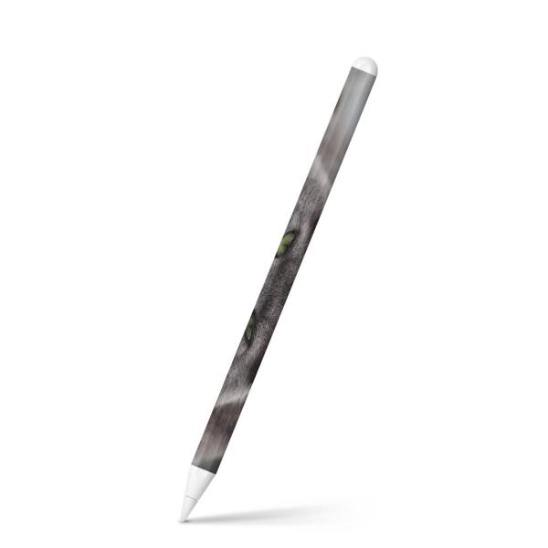 Apple Pencil 2 pXLV[ Abv AbvyV iPad Pro ApplePen tB XebJ[  L@@ʐ^ 002650