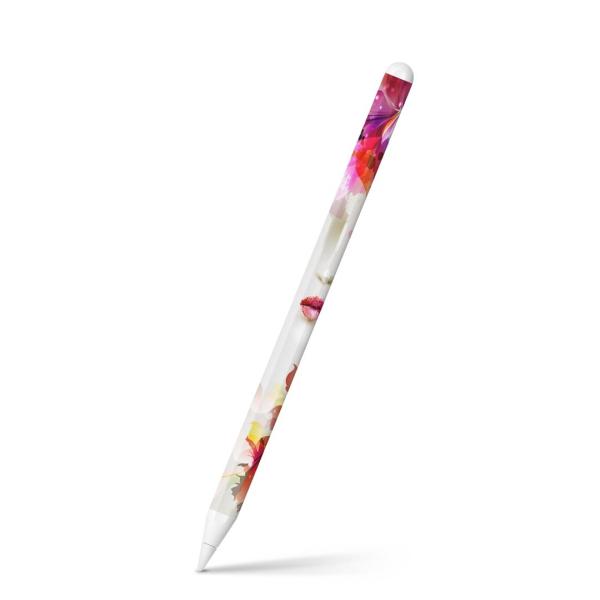 Apple Pencil 2 pXLV[ Abv AbvyV iPad Pro ApplePen tB XebJ[  ԁ@l@Jt 002660