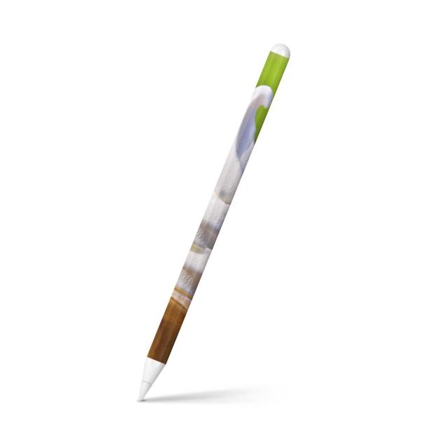 Apple Pencil 2 pXLV[ Abv AbvyV iPad Pro ApplePen tB XebJ[  fU[g@ʐ^ 002758