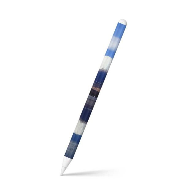 Apple Pencil 2 pXLV[ Abv AbvyV iPad Pro ApplePen tB XebJ[  iF@i@ʐ^ 002812