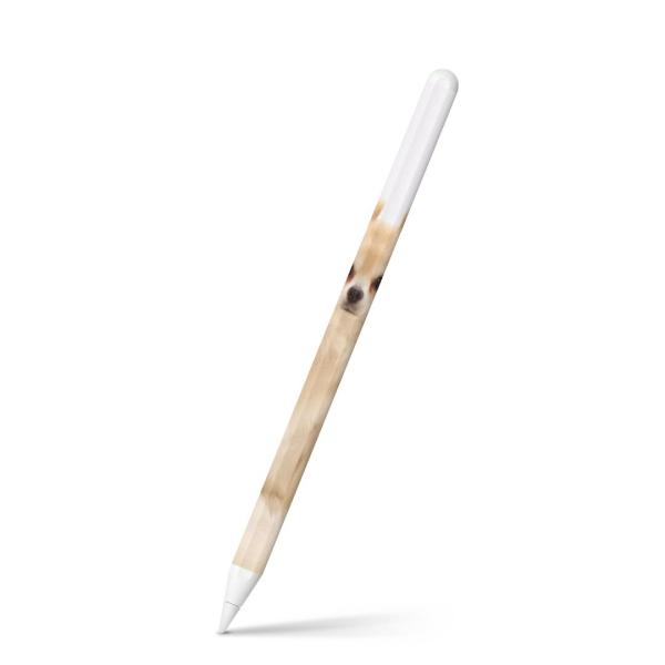 Apple Pencil 2 pXLV[ Abv AbvyV iPad Pro ApplePen tB XebJ[  @@ʐ^ 002914