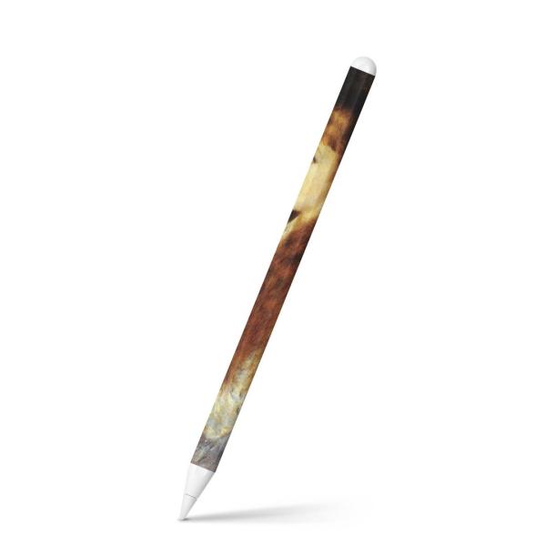 Apple Pencil 2 pXLV[ Abv AbvyV iPad Pro ApplePen tB XebJ[  l@G@CXg 003238