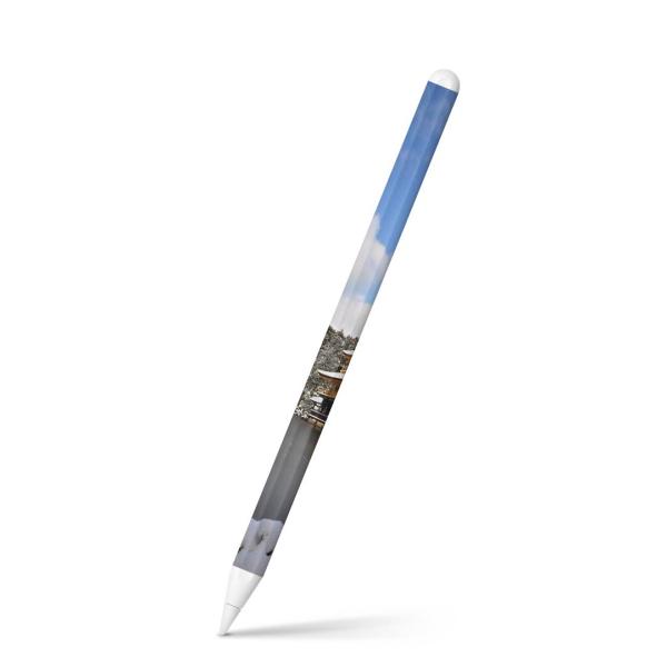 Apple Pencil 2 pXLV[ Abv AbvyV iPad Pro ApplePen tB XebJ[  ʐ^@iF@i 003269