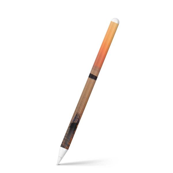 Apple Pencil 2 pXLV[ Abv AbvyV iPad Pro ApplePen tB XebJ[  C@ʐ^@iF@i 003276