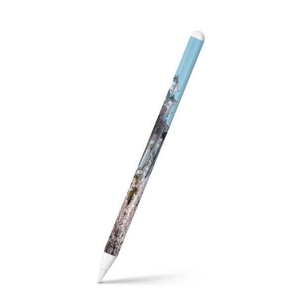 Apple Pencil 2 pXLV[ Abv AbvyV iPad Pro ApplePen tB XebJ[  ʐ^@iF@i 003277