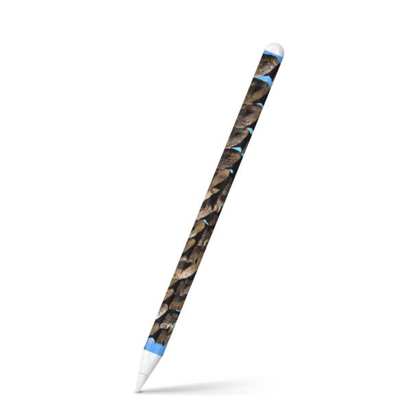 Apple Pencil 2 pXLV[ Abv AbvyV iPad Pro ApplePen tB XebJ[  O@ʐ^@iF@i 003284