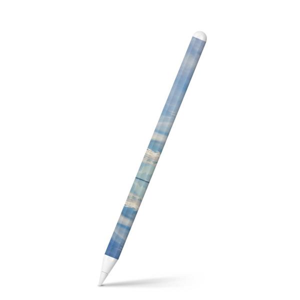 Apple Pencil 2 pXLV[ Abv AbvyV iPad Pro ApplePen tB XebJ[  ʐ^@i@iF 003298