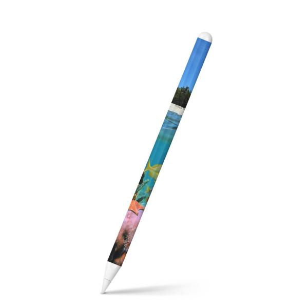 Apple Pencil 2 pXLV[ Abv AbvyV iPad Pro ApplePen tB XebJ[  C@O@ʐ^@iF 003328