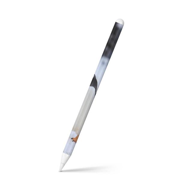 Apple Pencil 2 pXLV[ Abv AbvyV iPad Pro ApplePen tB XebJ[  @yM@ʐ^ 004679