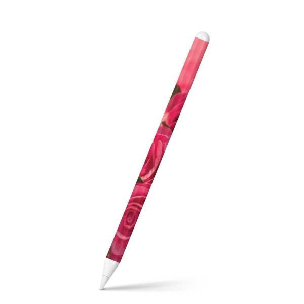Apple Pencil 2 pXLV[ Abv AbvyV iPad Pro ApplePen tB XebJ[  ԁ@ʐ^@sN 004707