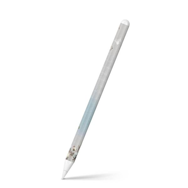 Apple Pencil 2 pXLV[ Abv AbvyV iPad Pro ApplePen tB XebJ[  ԁ@@ 004824