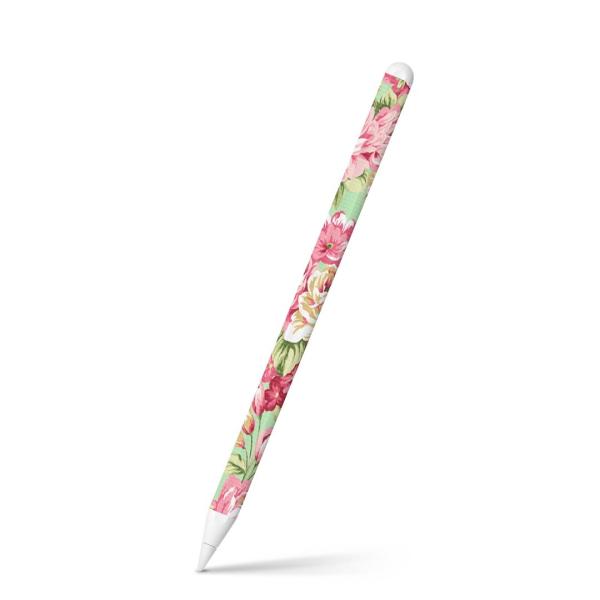 Apple Pencil 2 pXLV[ Abv AbvyV iPad Pro ApplePen tB XebJ[  ԁ@CXg@ 004878