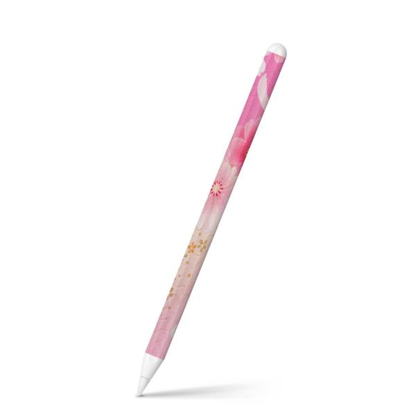Apple Pencil 2 pXLV[ Abv AbvyV iPad Pro ApplePen tB XebJ[  ԁ@a@sN 004993