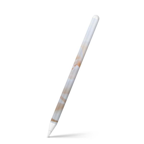 Apple Pencil 2 pXLV[ Abv AbvyV iPad Pro ApplePen tB XebJ[  @KN@ʐ^ 005080