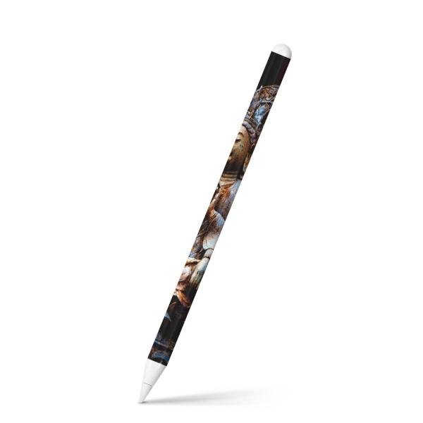 Apple Pencil 2 pXLV[ Abv AbvyV iPad Pro ApplePen tB XebJ[  @ʐ^@ 005093