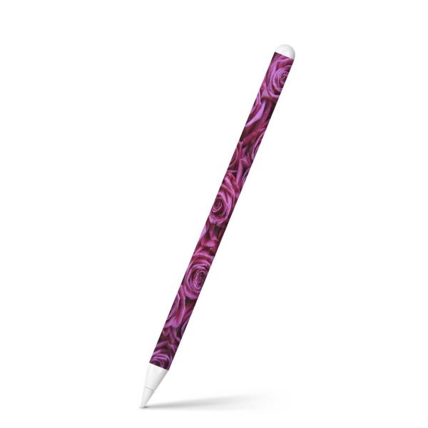 Apple Pencil 2 pXLV[ Abv AbvyV iPad Pro ApplePen tB XebJ[  KN@@ʐ^ 005129