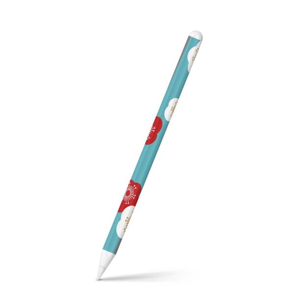 Apple Pencil 2 pXLV[ Abv AbvyV iPad Pro ApplePen tB XebJ[  ԁ@a@a 005305