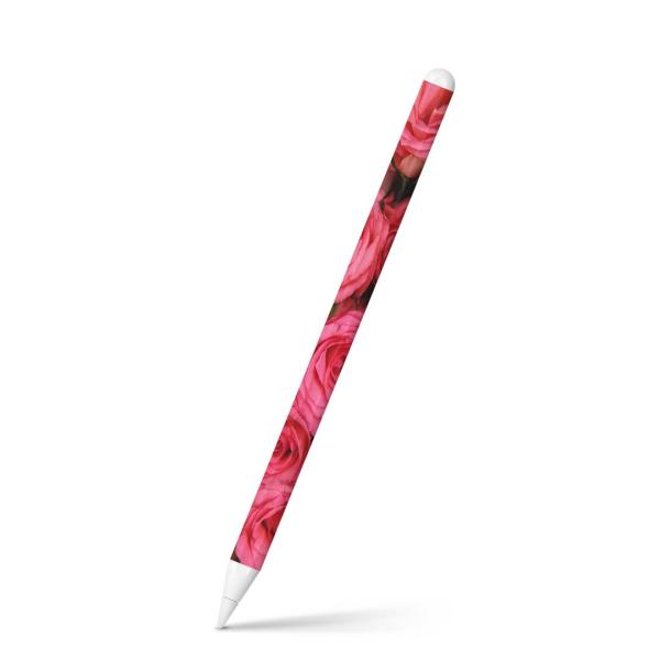 Apple Pencil 2 pXLV[ Abv AbvyV iPad Pro ApplePen tB XebJ[  ԁ@KN@sN 005315