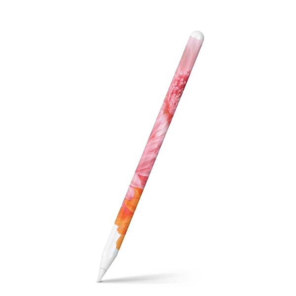 Apple Pencil 2 pXLV[ Abv AbvyV iPad Pro ApplePen tB XebJ[  ԁ@t[@ʐ^ 005378