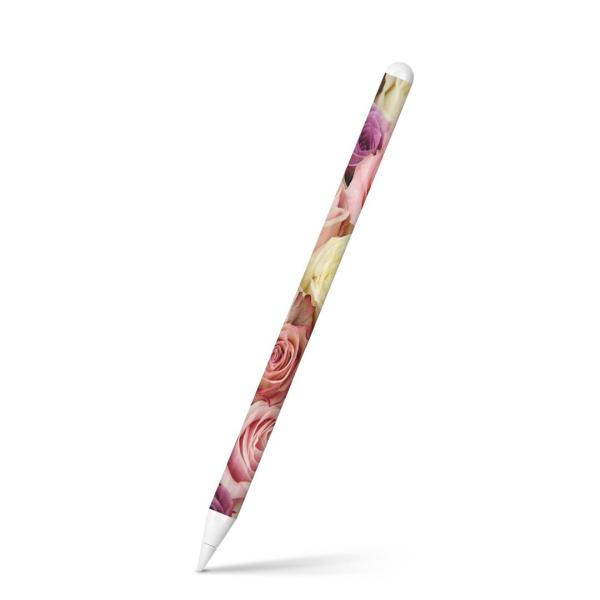 Apple Pencil 2 pXLV[ Abv AbvyV iPad Pro ApplePen tB XebJ[  ʐ^@ԁ@t[ 005493