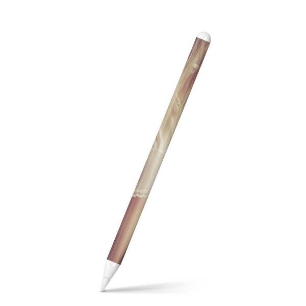 Apple Pencil 2 pXLV[ Abv AbvyV iPad Pro ApplePen tB XebJ[  ʐ^@l 005718