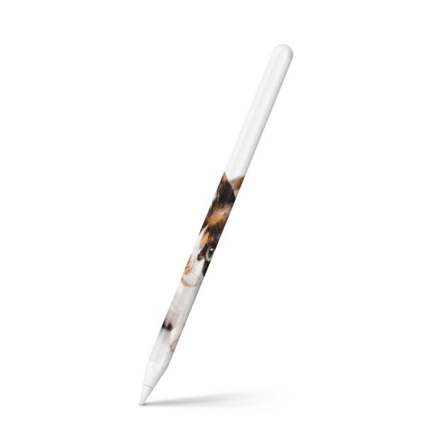 Apple Pencil 2 pXLV[ Abv AbvyV iPad Pro ApplePen tB XebJ[  ʐ^@@L@˂ 005939