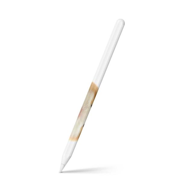Apple Pencil 2 pXLV[ Abv AbvyV iPad Pro ApplePen tB XebJ[  ʐ^@@nX^[ 006036