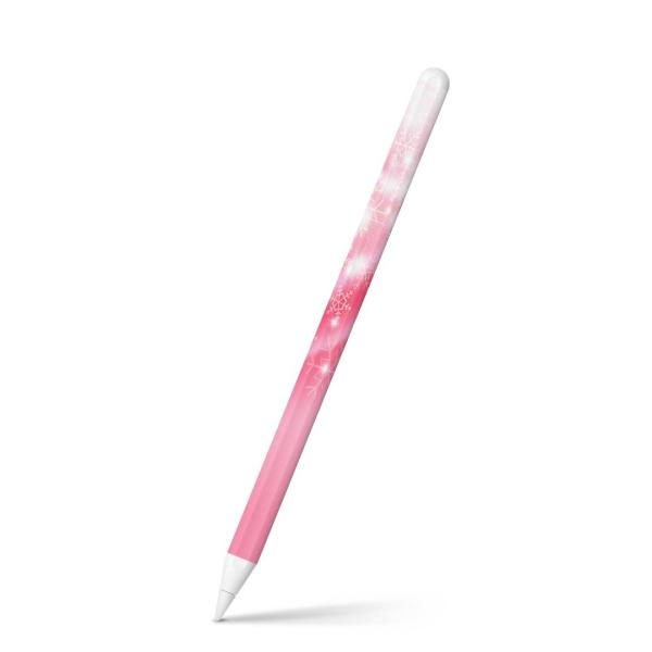 Apple Pencil 2 pXLV[ Abv AbvyV iPad Pro ApplePen tB XebJ[  @@sN 006254