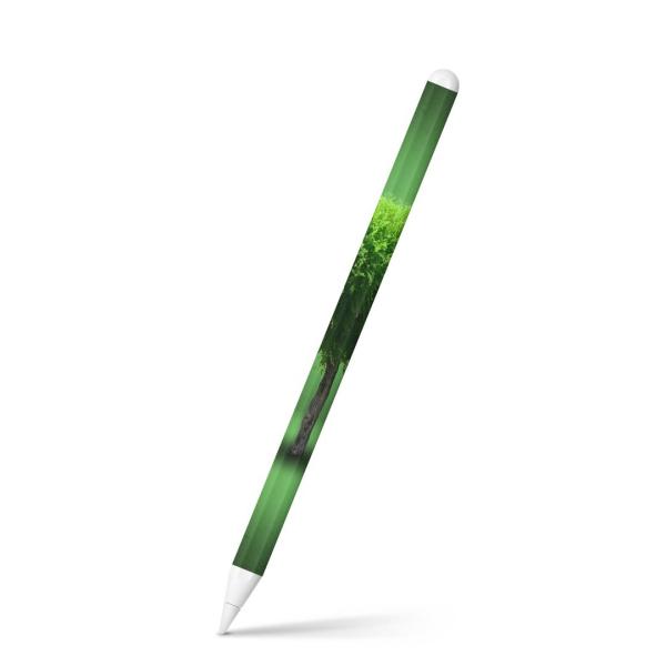 Apple Pencil 2 pXLV[ Abv AbvyV iPad Pro ApplePen tB XebJ[  A@΁@O[ 006285